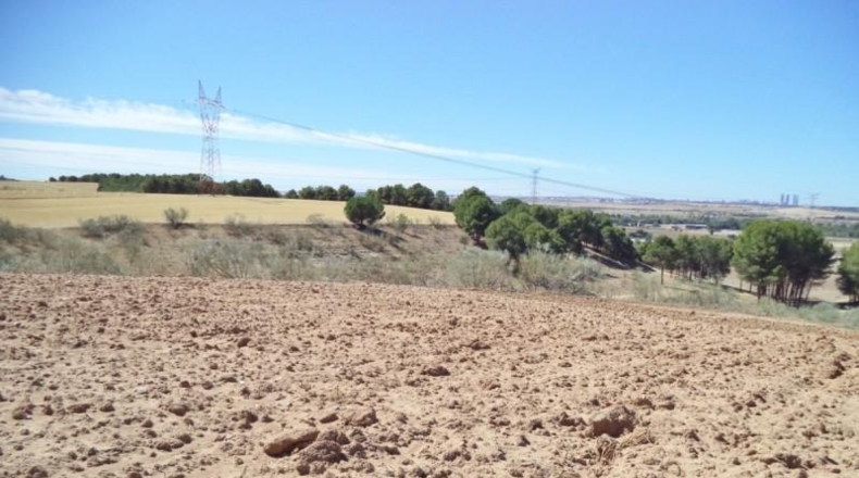 Comunidad de Madrid - Paracuellos de Jarama - 15000m2