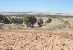 Paracuellos de Jarama 15000&nbsp;m² 