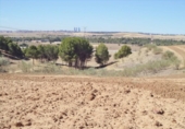 Land suitable for development for sale on España, Paracuellos de Jarama, ref: TR114797 photo