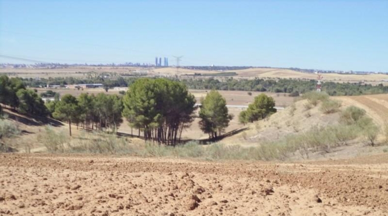 Comunidad de Madrid - Paracuellos de Jarama - 15000m2