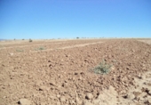 Land suitable for development for sale on España, Paracuellos de Jarama, ref: TR114797 photo