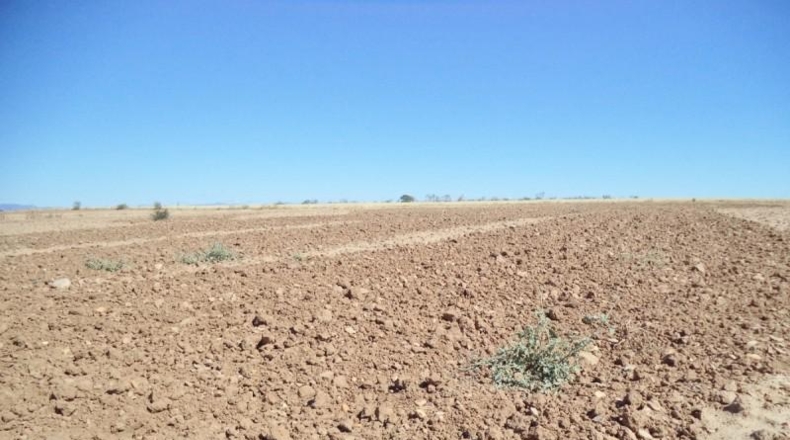 Comunidad de Madrid - Paracuellos de Jarama - 15000m2