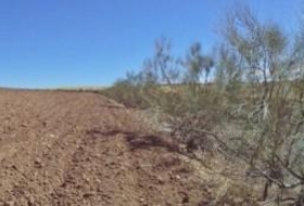 Paracuellos de Jarama 15000&nbsp;m² 