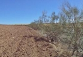 Land suitable for development for sale on España, Paracuellos de Jarama, ref: TR114797 photo