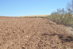 Paracuellos de Jarama 15000&nbsp;m² 