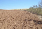 Land suitable for development for sale on España, Paracuellos de Jarama, ref: TR114797 photo
