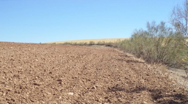 Comunidad de Madrid - Paracuellos de Jarama - 15000m2