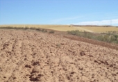 Land suitable for development for sale on España, Paracuellos de Jarama, ref: TR114797 photo