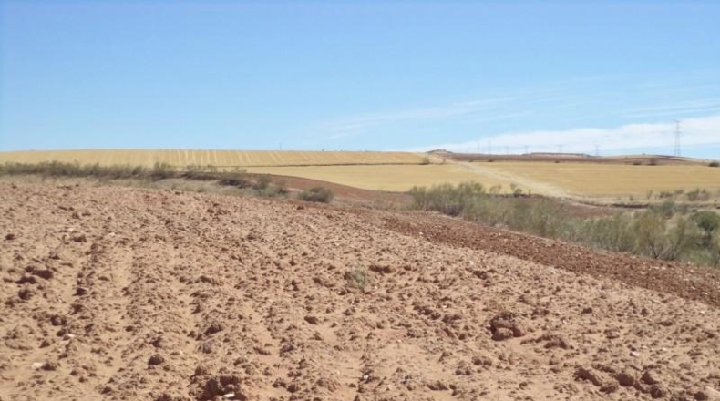 Comunidad de Madrid - Paracuellos de Jarama - 15000m2