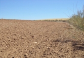 Land suitable for development for sale on España, Paracuellos de Jarama, ref: TR114797 photo
