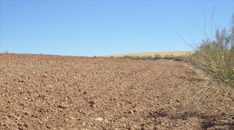Comunidad de Madrid - Paracuellos de Jarama - 15000m2