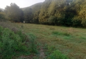 Xalet independent amb terreny en venda a la España, Ramales de la Victoria, ref.: TR139639 foto