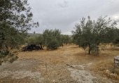 Casa de camp amb terreny en venda a la España, Baena, ref.: TR140719 foto