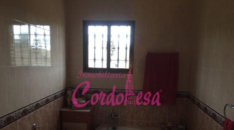 Cordova - Córdoba - 156m2