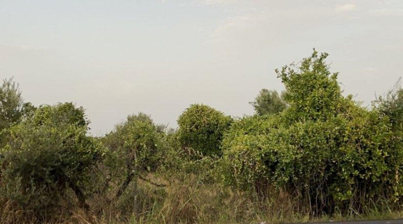Múrcia - Murcia - 5480m2