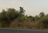 Terreny no urbanitzable en venda a la España, Múrcia, ref.: TR119619 foto