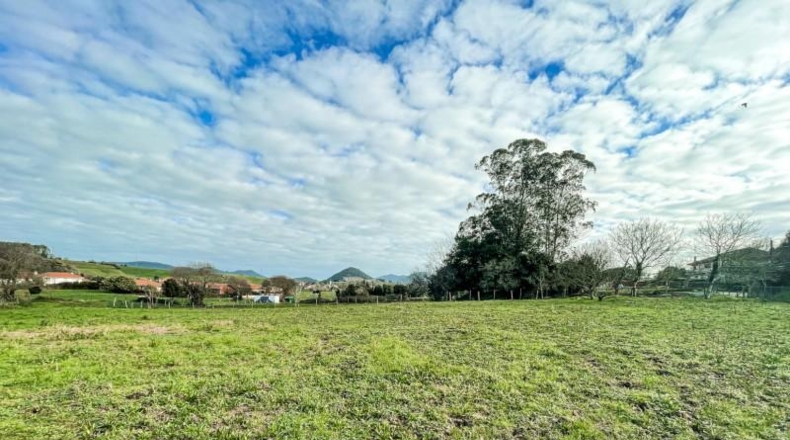 Cantabria - Bárcena de Cicero - 3602m2