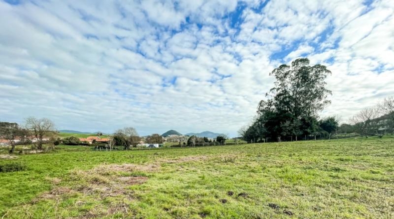 Cantabria - Bárcena de Cicero - 3602m2