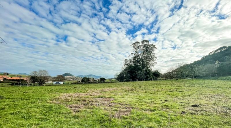 Cantabria - Bárcena de Cicero - 3602m2