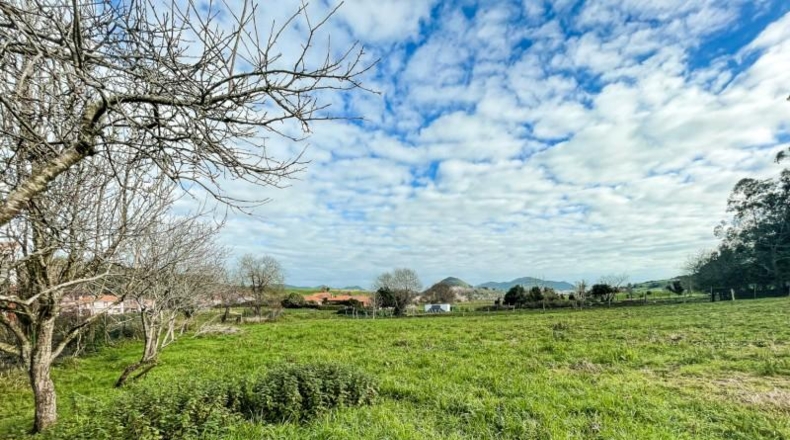 Cantabria - Bárcena de Cicero - 3602m2