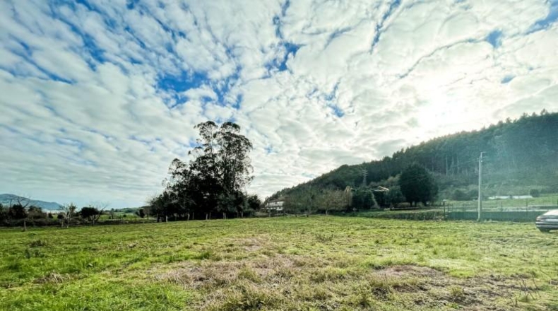 Cantabria - Bárcena de Cicero - 3602m2