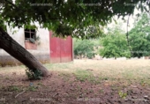 Non-developable land for sale on España, Galaroza, ref: TR143531 photo