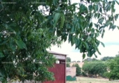 Non-developable land for sale on España, Galaroza, ref: TR143531 photo