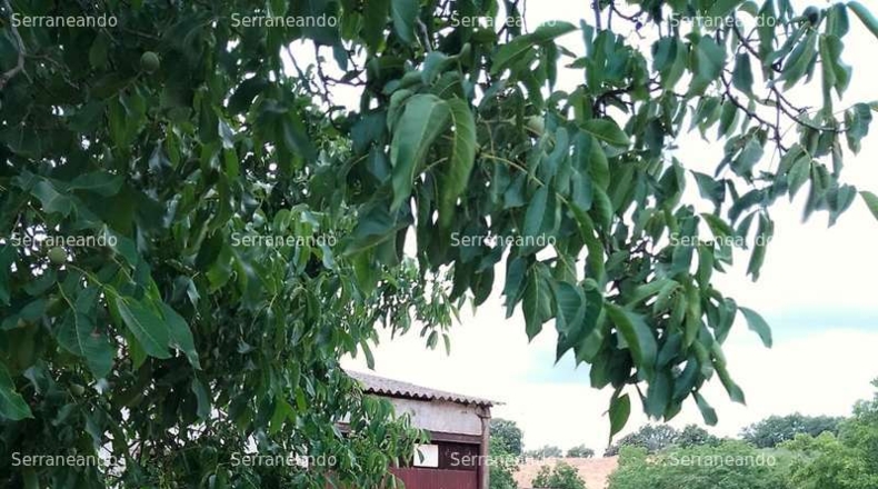 Huelva - Galaroza - 662m2