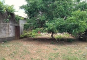 Non-developable land for sale on España, Galaroza, ref: TR143531 photo
