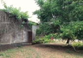 Non-developable land for sale on España, Galaroza, ref: TR143531 photo