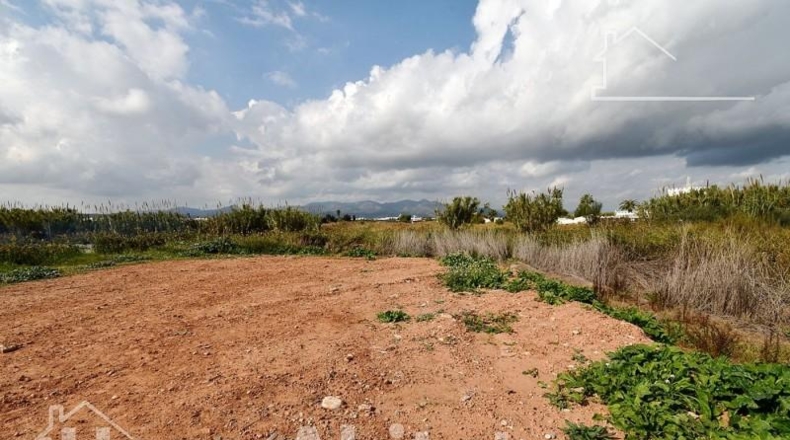 Castellón - Moncofa - 899m2