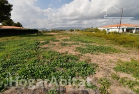 Moncofa 899&nbsp;m² 