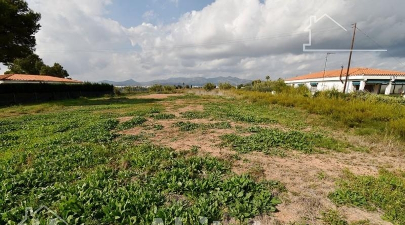 Castellón - Moncofa - 899m2