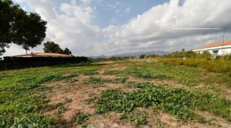 Castellón - Moncofa - 899m2