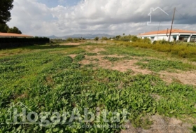 Moncofa 899&nbsp;m² 