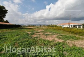 Moncofa 899&nbsp;m² 