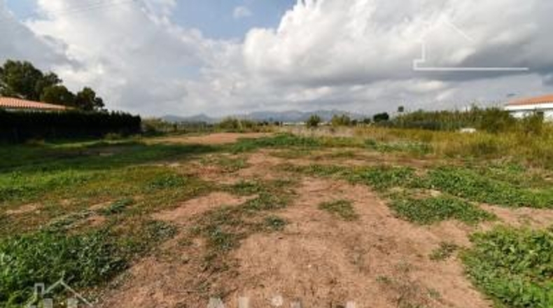 Castellón - Moncofa - 899m2