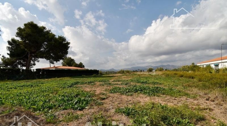 Castellón - Moncofa - 899m2