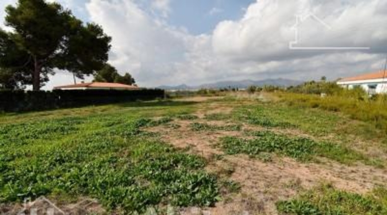Castellón - Moncofa - 899m2