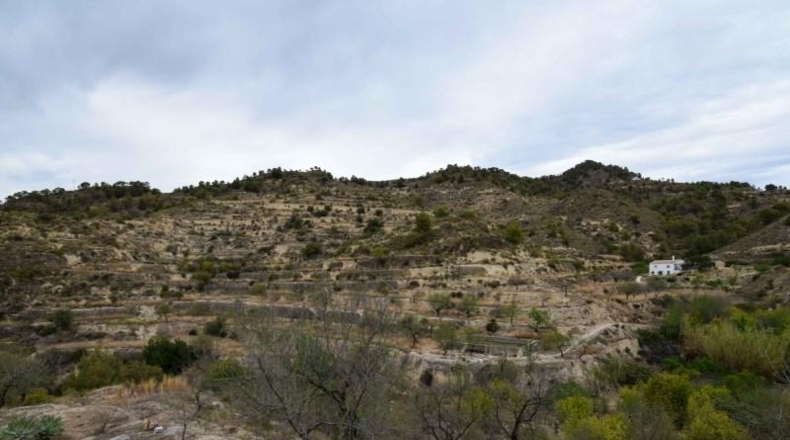 Alicante - Sella - 42738m2