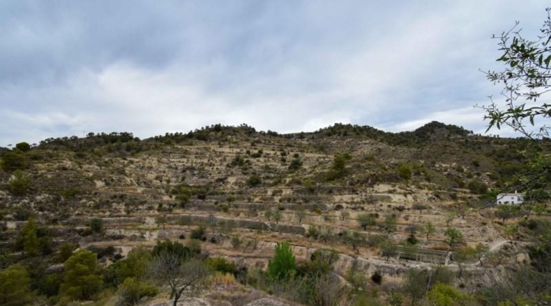 Alicante - Sella - 42738m2