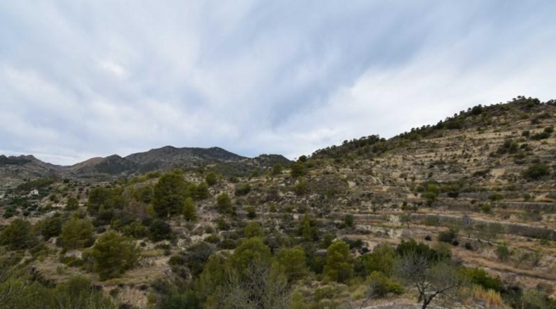 Alicante - Sella - 42738m2