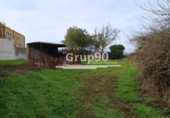 Участок с постройкой на продажу в городе Vilanova de Segrià Фото