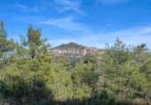 Xalet independent amb terreny en venda a la España, Vall-de-roures, ref.: TR146899 foto