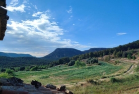 Foto 9