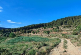Foto 15