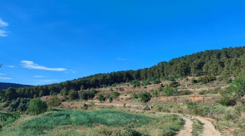 Teruel - Valderrobres - 68968m2
