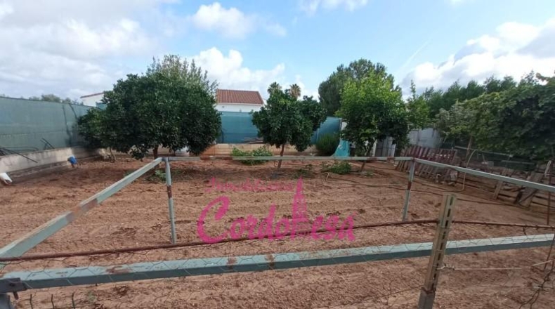 Córdoba - Córdoba - 1000m2