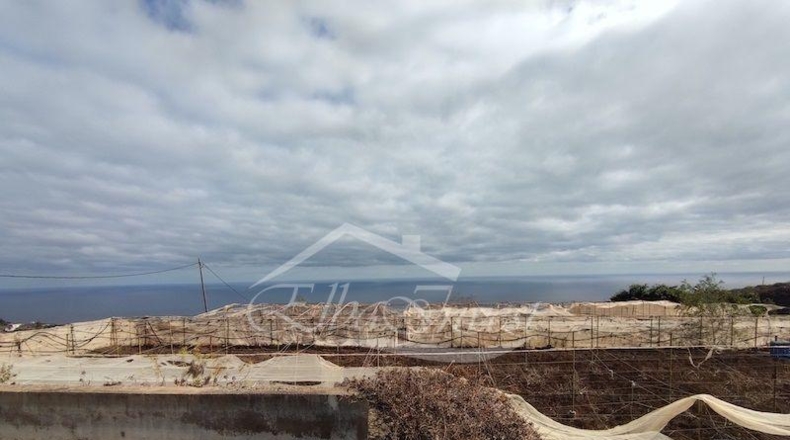 Санта-Крус-де-Тенерифе - La Guancha - 4261m2