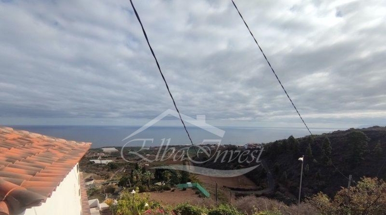 Санта-Крус-де-Тенерифе - La Guancha - 4261m2